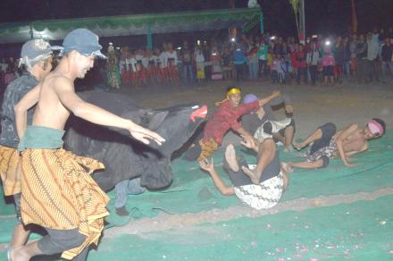  KISAH DIBALIK UPACARA ADAT JUMEDHULING MAHESA SURA